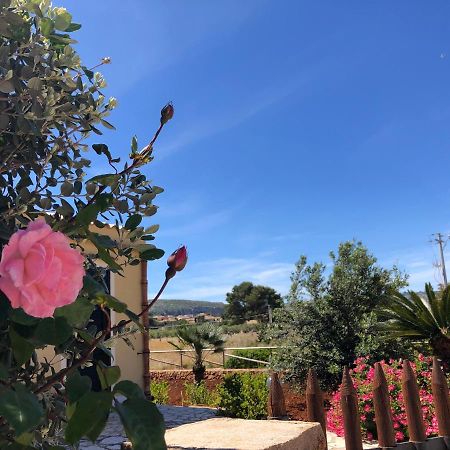 La Villa Dei Girasoli Custonaci Eksteriør bilde